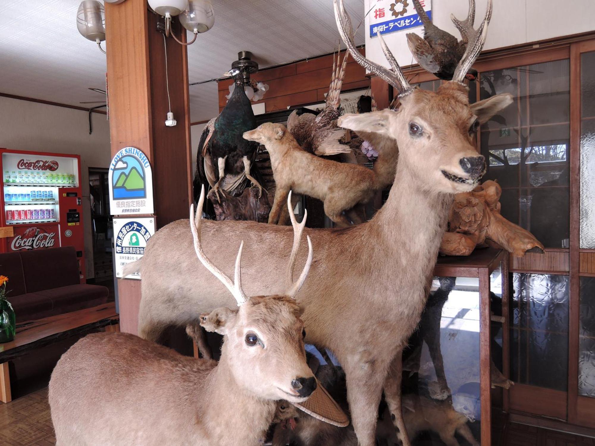 Hotel Shintaku Sanso Minamimaki Esterno foto