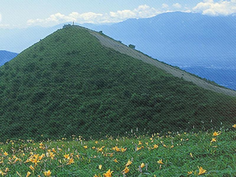 Hotel Shintaku Sanso Minamimaki Esterno foto